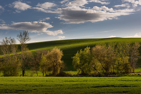 Rural Walla Walla