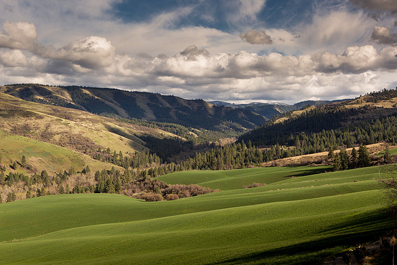 From Scenic View Drive
