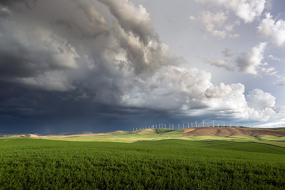 Rural Walla Walla Valley
