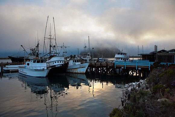 Boats docked at Morro Bay, California