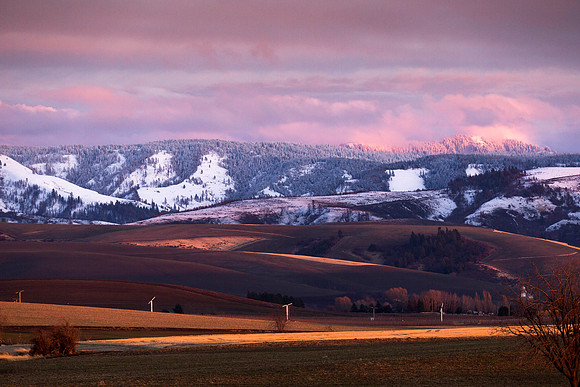 The Blue Mountains