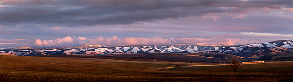 The Blue Mountains