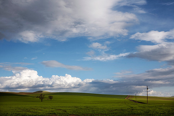 Clouds over field, Walla Walla