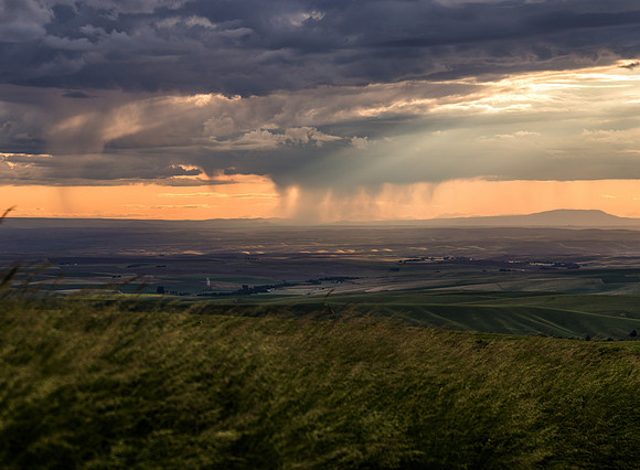 The Walla Walla Valley
