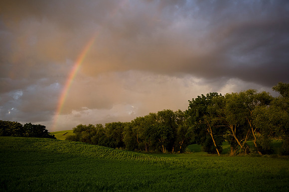 Rainbow over field, Walla Walla