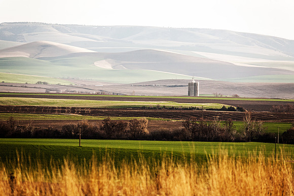 Foothills of Walla Walla