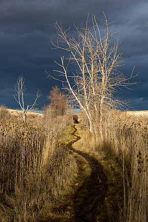 A trail at Bennington Lake